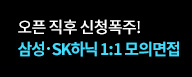 메인 센터 배너 버튼1
